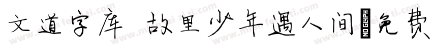 文道字库 故里少年遇人间字体转换